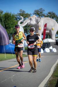 BIB: 
                            <button type="button" onclick="openModal(26542861)" class="btn btn-primary btn-sm float-right btn-popup" data-toggle="modal" data-target=".modal-high-quality">
                        <i class="fas fa-shopping-cart"></i> Add to Cart
                    </button>
                                            <button type="button" onclick="isThisMe(26542861, true)" class="btn btn-success btn-sm float-right btn-popup btn-isme hidden" data-toggle="tooltip" data-placement="bottom" title="นี่คือรูปของคุณใช่ไหม คลิกที่นี่เพื่อเอาเข้าอัลบั้ม">
                        <i class="fas fa-plus"></i> Add to album
                    </button>
                    <button type="button" onclick="isThisMe(26542861, false)" class="btn btn-warning btn-sm float-right btn-popup btn-isnotme hidden">
                        <i class="fas fa-ban"></i> Remove from album
                    </button>